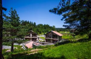 a group of houses on a hill with trees at Ваканционна къща ,,Родопски уют " in Dospat