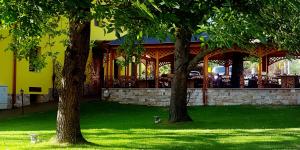 two trees in front of a building with a restaurant at Gasthof Kaiser in Ybbs an der Donau