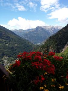 Blick auf ein Tal mit roten Blumen und Bergen in der Unterkunft Le Petit Coeur in Fontainamore