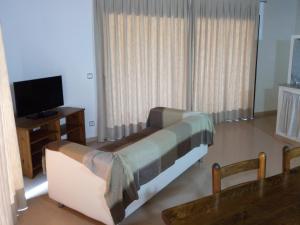 - un salon avec un canapé et une télévision dans l'établissement Cal Cisteller, à Santa Pau