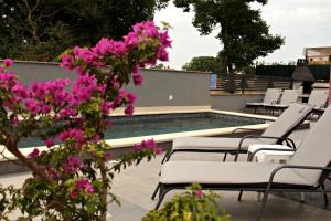 a group of chairs and flowers next to a swimming pool at Holiday house Veli vrh in Pula