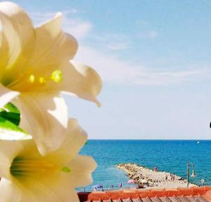a yellow flower with a view of the beach at Al Giglio - Affittacamere in Cariati