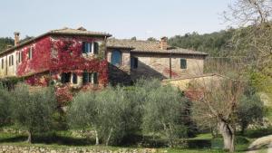 una vieja casa con hiedra roja creciendo en ella en La Locaia, en Siena