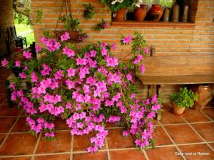 Imagen de la galería de Casa Rural El Roblon, en Sartajada