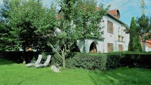 Zahrada ubytování Guest House Marketti