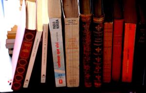 Billede fra billedgalleriet på Casa Dos Livres i Vaiamonte