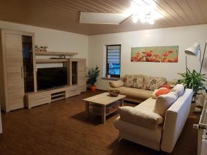 a living room with a couch and a tv at Ferienhaus Waldblick in Sangerhausen