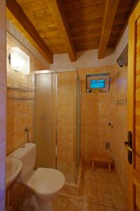 Kúpeľňa v ubytovaní Chata Pohoda Slovenský Raj Čingov