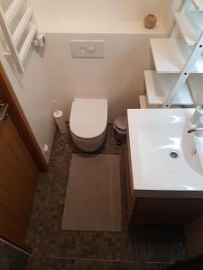 Un baño con un inodoro blanco y un lavabo. en Amber Wind Apartment, en Juodkrantė 3 fotos más