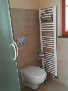 a small bathroom with a toilet in a room at Hiša Kranjc in Kobarid