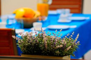 Ảnh trong thư viện ảnh của Luxury Apartment Dvor ở Split