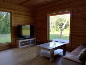 TV a/nebo společenská místnost v ubytování Miilimäe Guesthouse