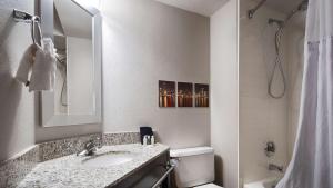 Gallery image of Best Western O'Hare/Elk Grove Hotel in Elk Grove Village