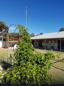 a white fence with a bunch of trees around it at The Heights Bed & Breakfast in Jurien Bay