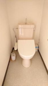 a bathroom with a white toilet in a room at Weekly Mansion Ise Annex in Ise