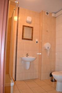 La salle de bains est pourvue d'un lavabo et d'une douche. dans l'établissement Hotel i Restauracja Jaskolka, à Alojzów