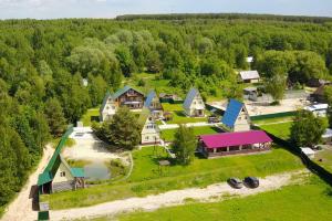 z góry widok na wioskę z domami i jeziorem w obiekcie Holiday park Peremilovy Gory w mieście Yefremovo