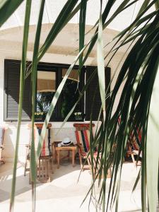 Gallery image of Villa Teuta in Risan +20 photos