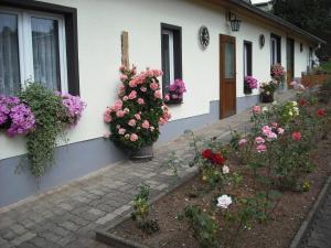 Ein paar Blumen auf der Seite eines Hauses in der Unterkunft Pension Möhring in Bad Suderode