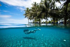 a person swimming in the ocean with palm trees in the background at Sun Siyam Iru Fushi - 50 percent off on Seaplane transfer for minimum 4 night stay till 30 Sept 2024 in Manadhoo