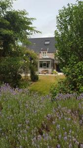 Merelbeke的住宿－拉克里杜塞床和早餐，一座带紫色花卉花园的房屋
