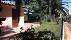 einen Hinterhof mit einem Haus und einem Garten mit Palmen in der Unterkunft Apartment Kika in Ližnjan