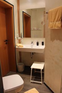 La salle de bains est pourvue d'un lavabo, de toilettes et d'un miroir. dans l'établissement Gästehaus Niemerg, à Warendorf