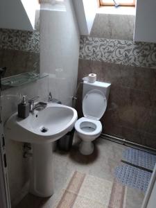 Koupelna v ubytování Casa Iancu
