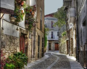 an alley in an old town with buildings and plants at Apartamento JALAMA 2B in Moraleja +17 photos