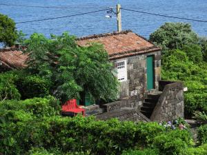 Zahrada ubytování Casa Adega Alto do Passinho