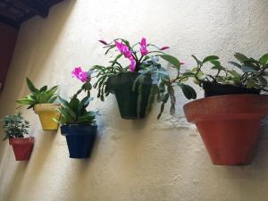 Fotografie z fotogalerie ubytování Palace Hotel v destinaci Angra dos Reis