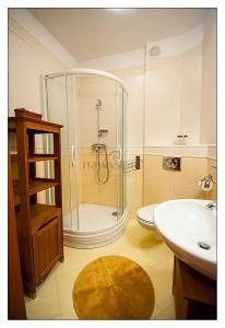 Phòng tắm tại Apartamenty na Wyspie - Trzy Korony - Studio z parkingiem