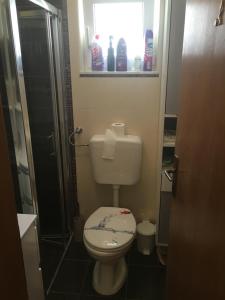 Koupelna v ubytování Apartman Petra 1