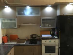 Kuchyň nebo kuchyňský kout v ubytování Apartman Petra 1