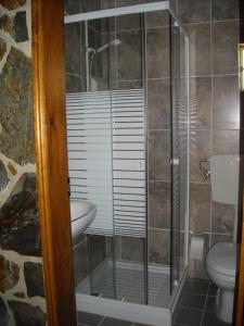 a bathroom with a shower and a toilet and a sink at Casa da Eira in Cerdeira