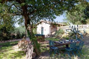 A garden outside La Limonaia