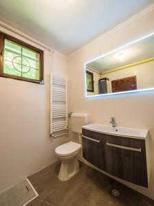 ein Badezimmer mit einem WC, einem Waschbecken und einem Spiegel in der Unterkunft Počitniška hiša Radovna in Zgornja Radovna