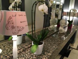 Fotografie z fotogalerie ubytování First Euroflat Hotel v Bruselu