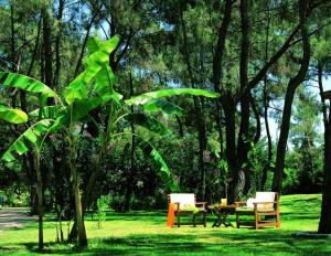 a park with tables and chairs in the grass at Martı Myra - Ultra All Inclusive in Tekirova