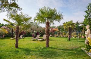 a group of palm trees in a park at Hotel Terme Cristoforo in Abano Terme