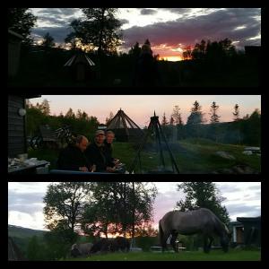 Fotografie z fotogalerie ubytování Hessdalen Ufocamp v destinaci Vårhus