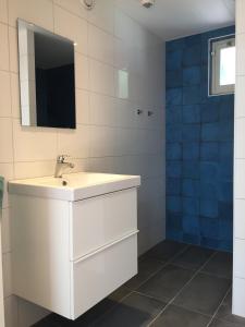 a white bathroom with a sink and a mirror at Huisje op Hamingen in Staphorst