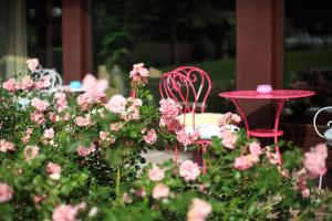 Ogród w obiekcie Hotel Garni Römerhof