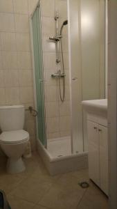 a bathroom with a shower and a toilet and a sink at Ferienappartement Teresa in Sławoszynko +21 photos