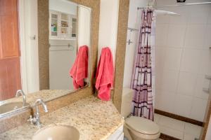 a bathroom with a sink and a toilet and a mirror at Historic House in Rio de Janeiro