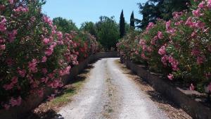 Vonkajšia záhrada v ubytovaní Villa San marco