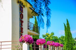 Zahrada ubytování Hotel Al Ritrovo