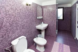 a pink bathroom with a toilet and a sink at La Bucovineanca in Strîmtura +74 photos