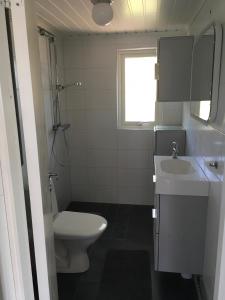 łazienka z toaletą i umywalką w obiekcie Stugcentralen Stuga 24 w mieście Halmstad