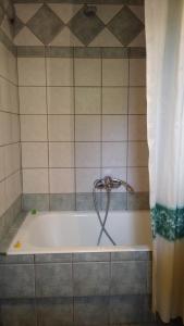 a bath tub with a shower curtain in a bathroom at Nikolitsa Apartments in Glyfada Fokidas +52 photos